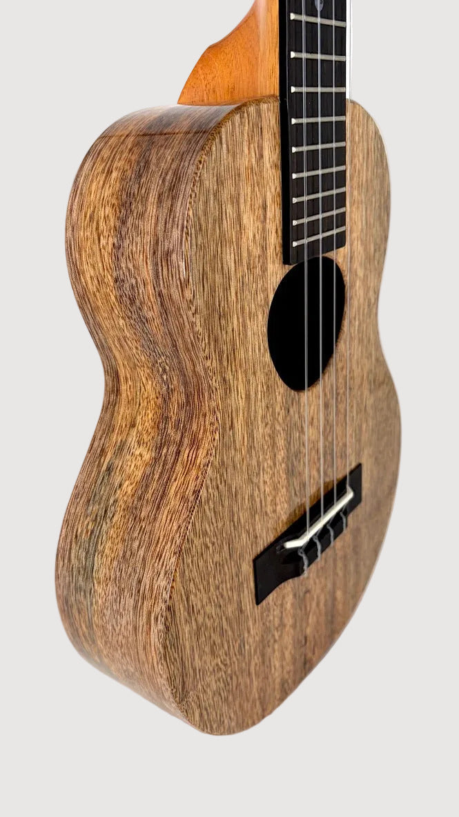 Koaloha KTM-00 Mango Tenor gloss #28
