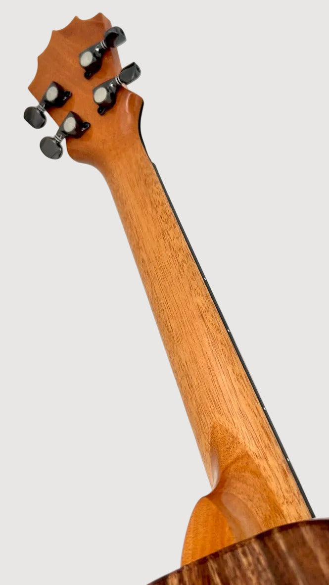 Koaloha KTM-00 Koa Tenor gloss #97