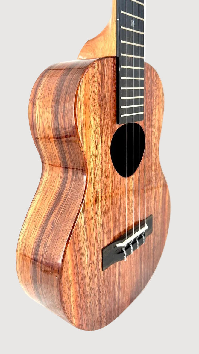 Koaloha KTM-00 Koa Tenor gloss #98