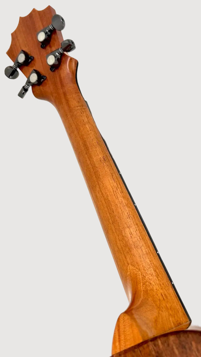 Koaloha KTM-00 Koa Tenor gloss #98