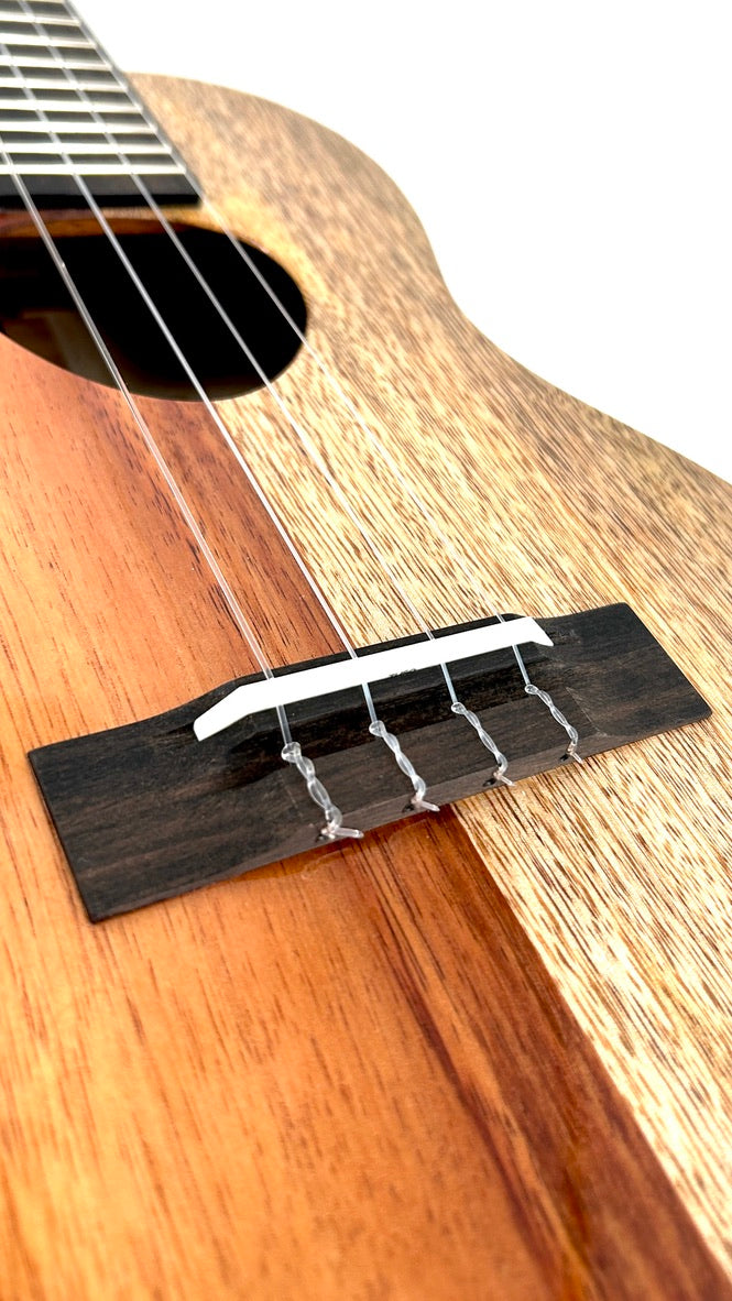 Koaloha KTNP-00 Naupaka Tenor gloss #16