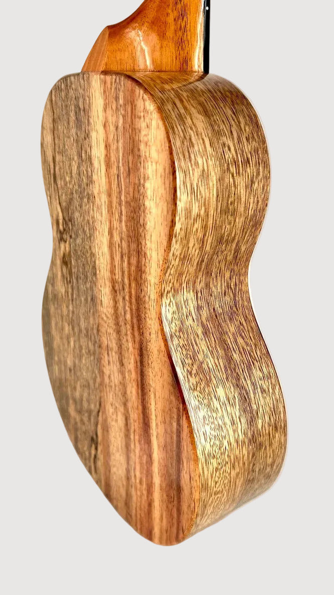 Koaloha KTNP-00 Naupaka Tenor gloss #17