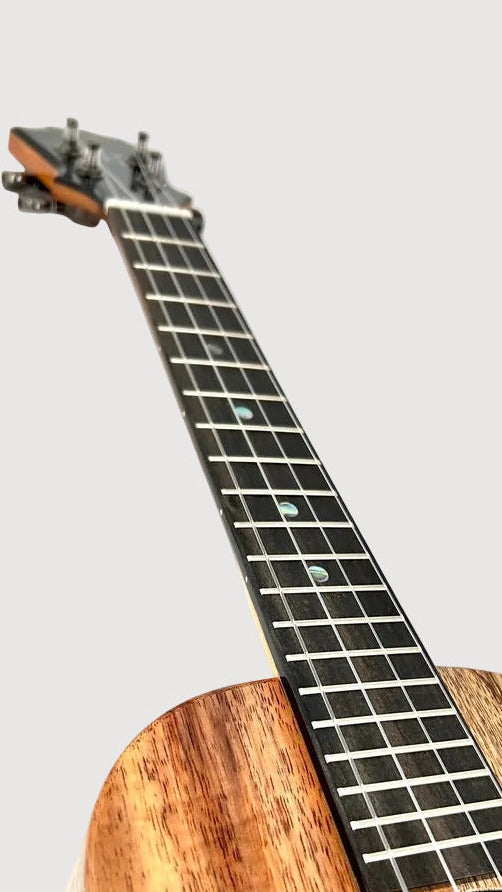 Koaloha KTNP-00 Naupaka Tenor gloss #17
