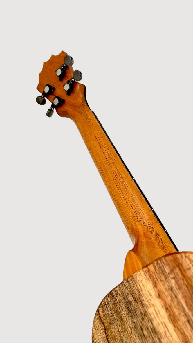 Koaloha KTNP-00 Naupaka Tenor gloss #17