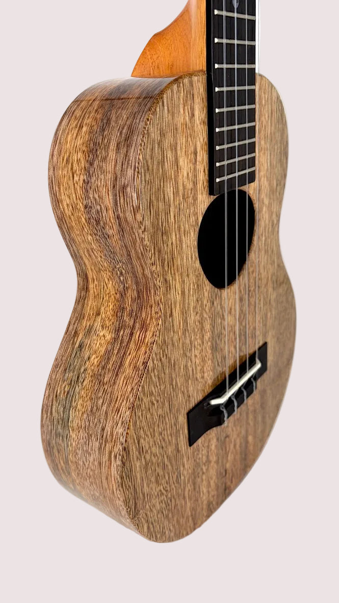 Koaloha KTM-00 Mango Tenor gloss #29