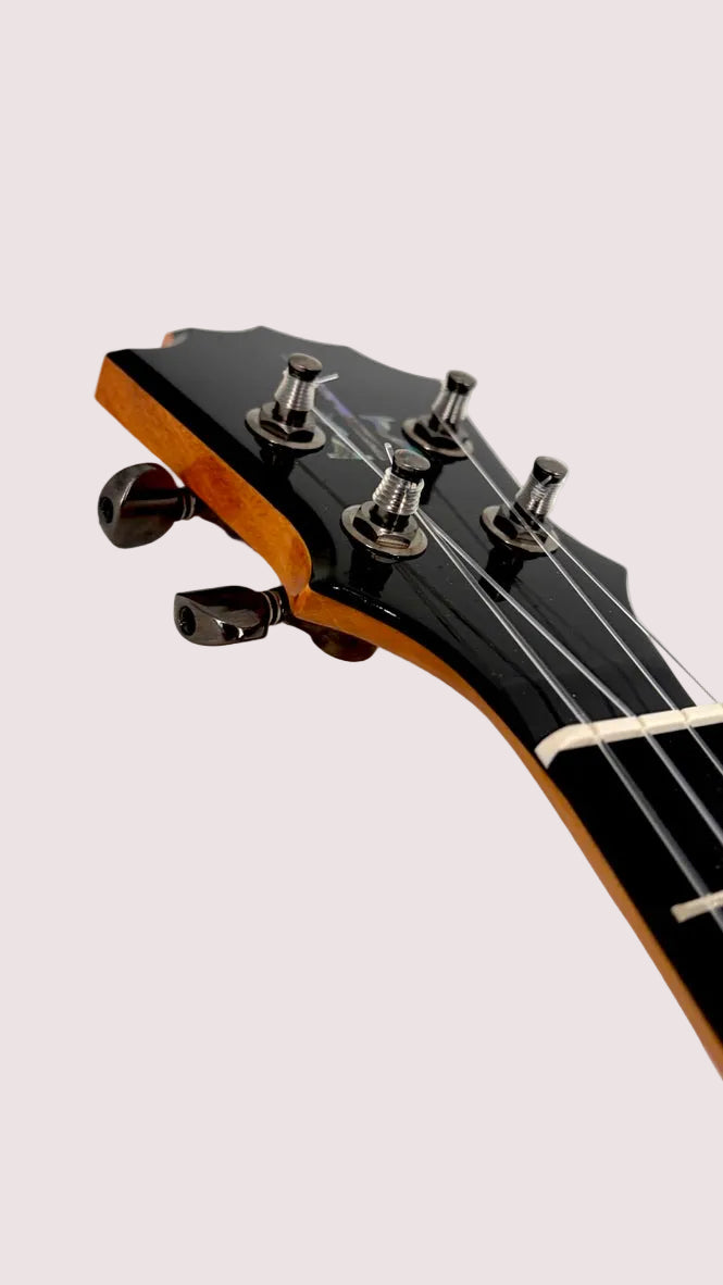 Koaloha KTM-00 Mango Tenor gloss #29