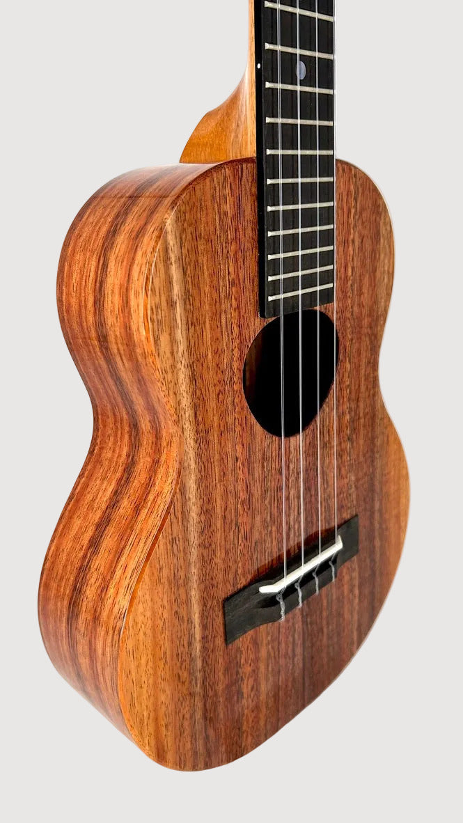Koaloha KTM-00 Koa Tenor gloss #89