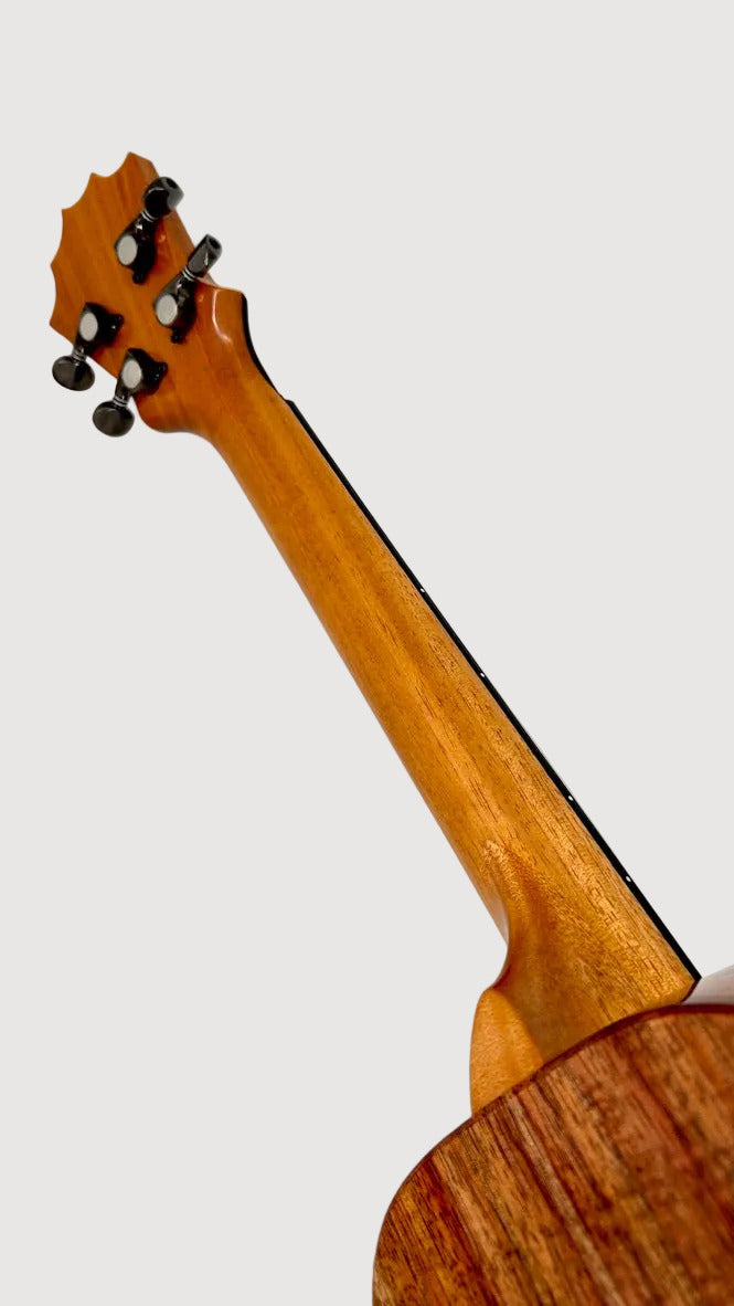 Koaloha KTM-00 Koa Tenor gloss #89