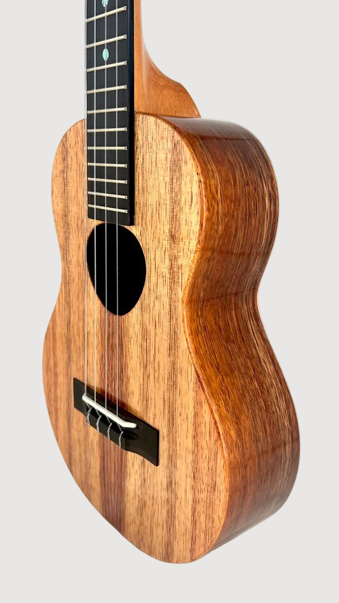 Koaloha KTM-00 Koa Tenor gloss #96