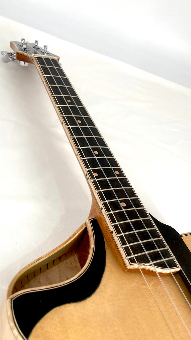 Lichty Archtop