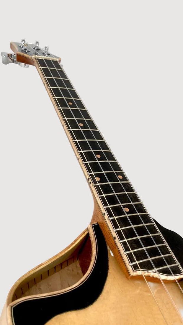Lichty Archtop