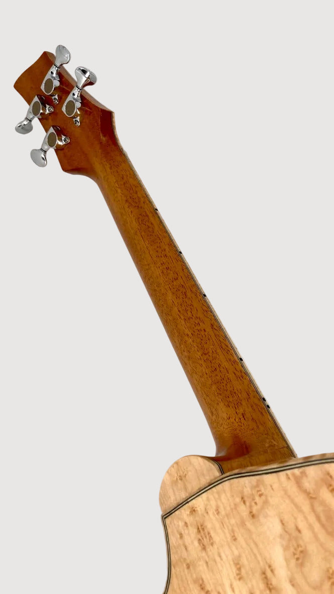 Lichty Archtop
