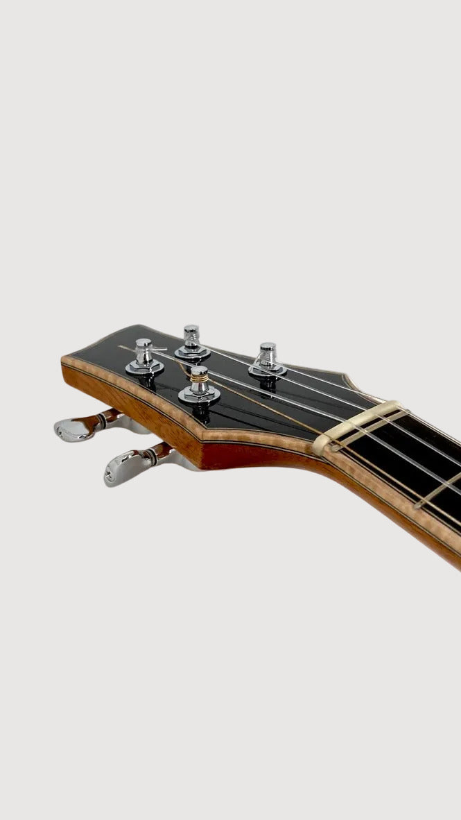 Lichty Archtop