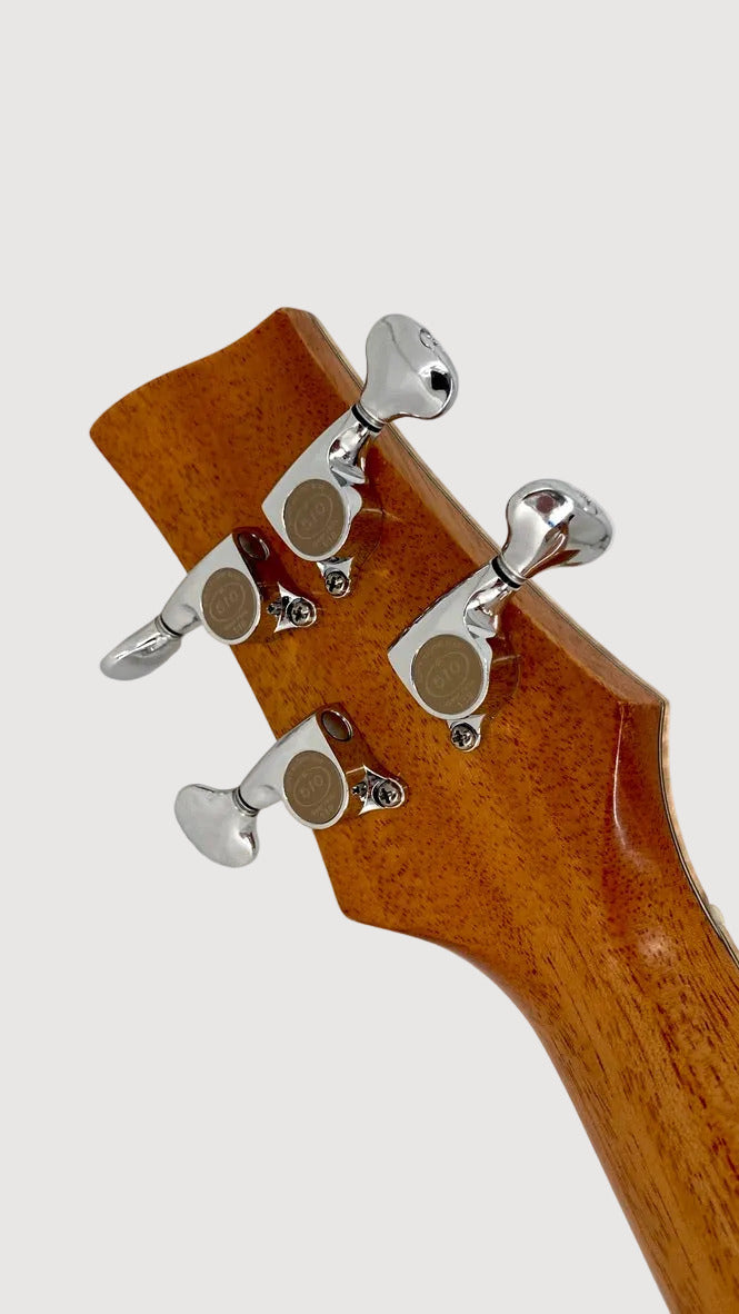 Lichty Archtop