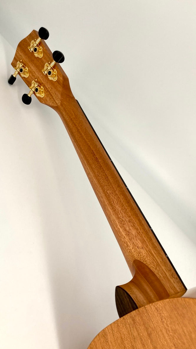 PONO MBD Bariton