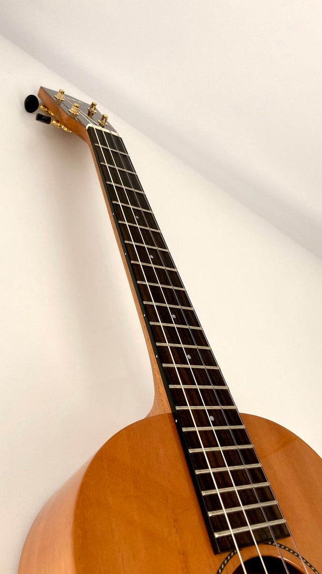 PONO MBD Bariton