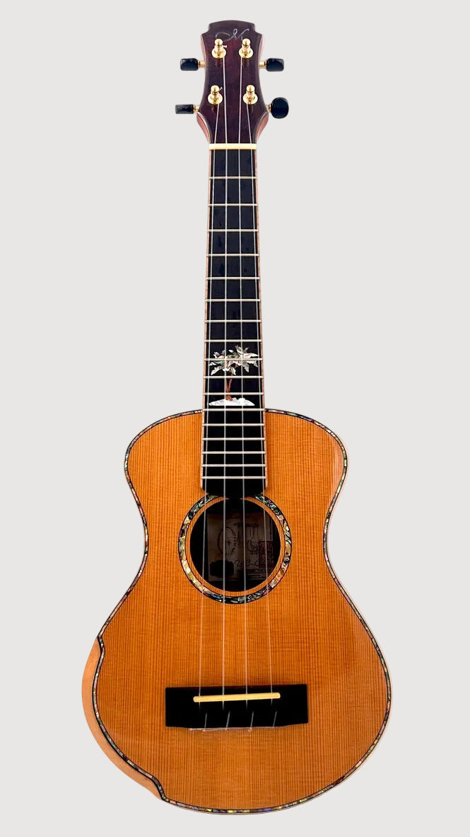 MAESTRO UC-CO SB Concert