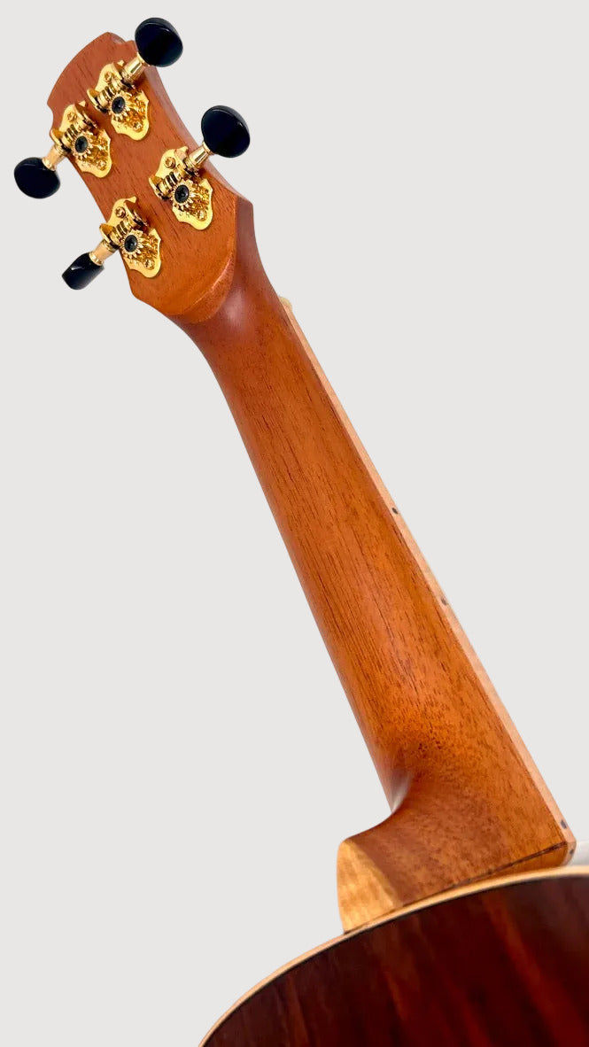 MAESTRO UC-CO SB Concert