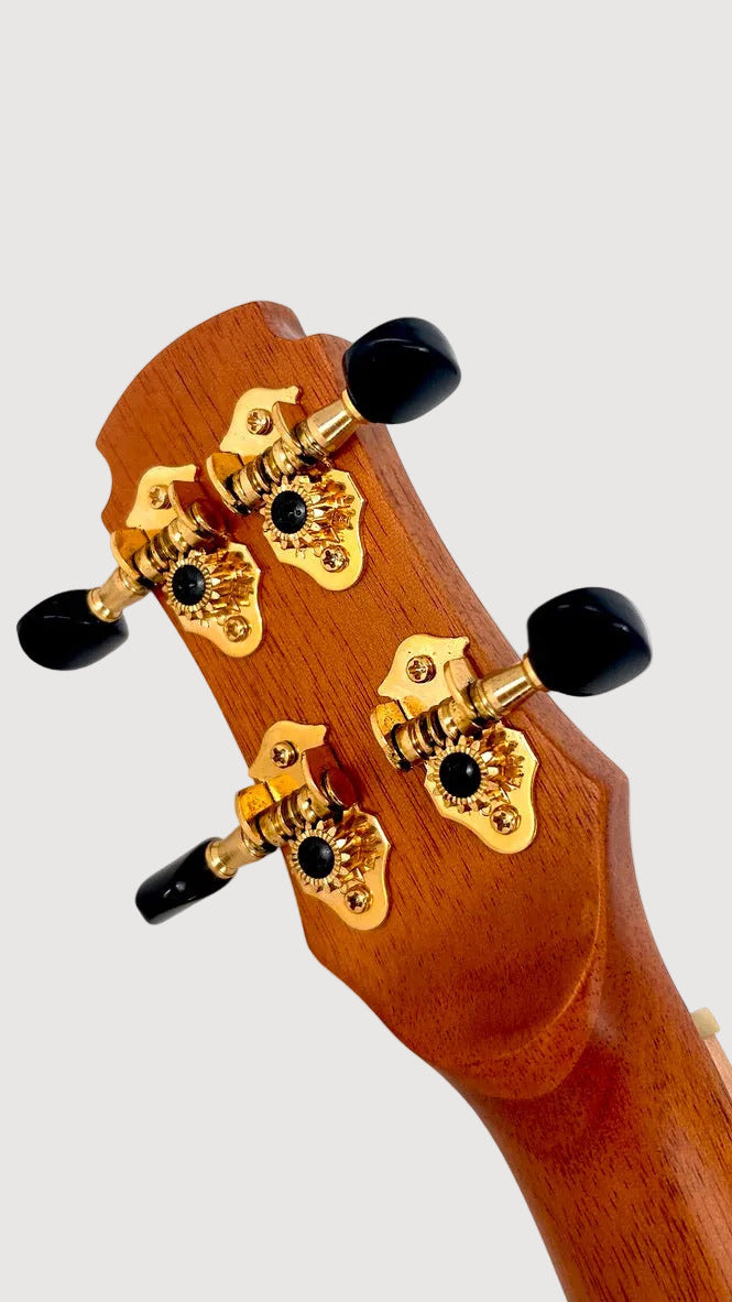 MAESTRO UC-CO SB Concert