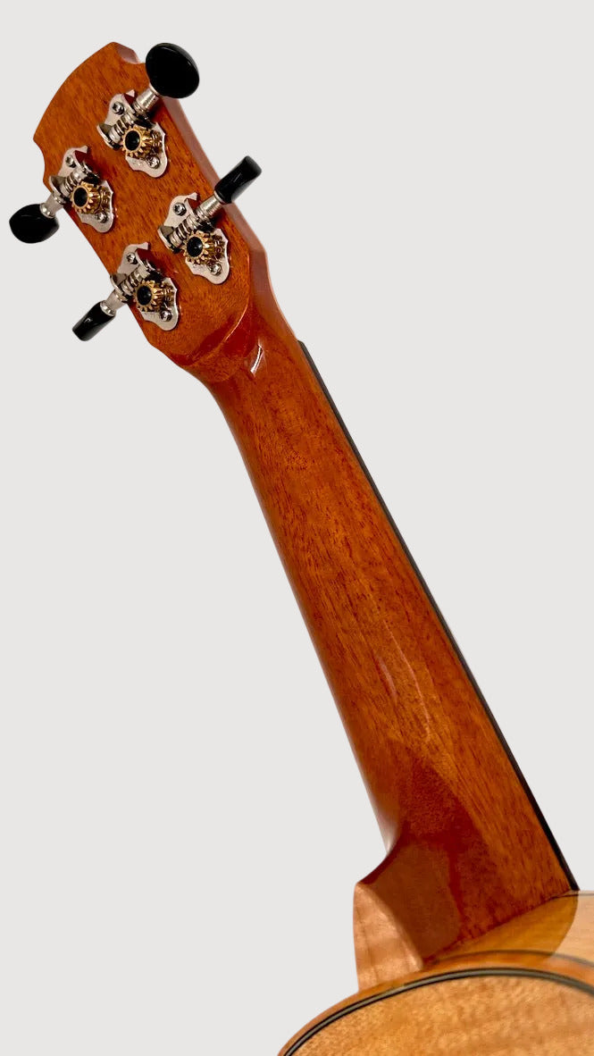MAESTRO US35 Sopran