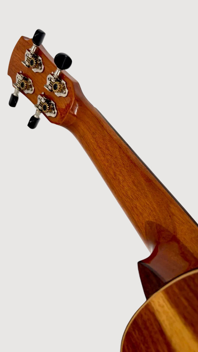 MAESTRO US45 Sopran