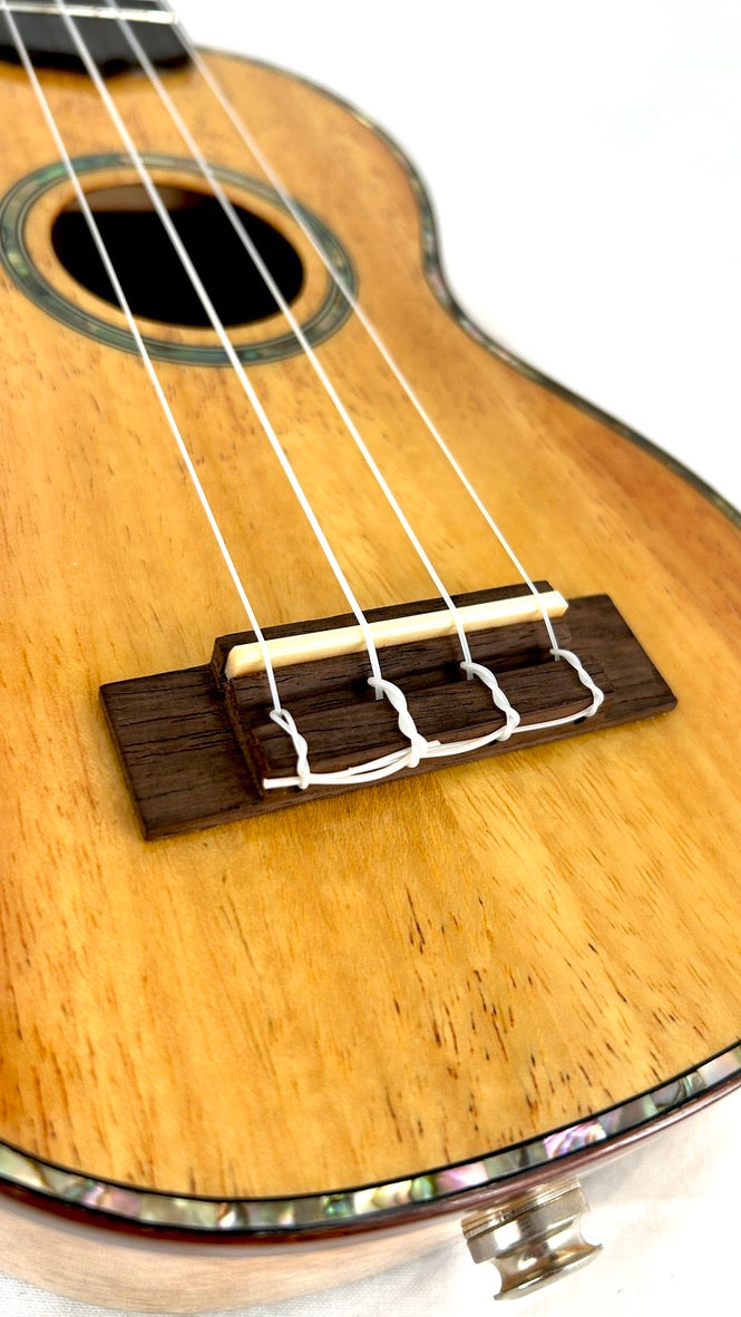 MAESTRO US30 Sopran mit Pickup