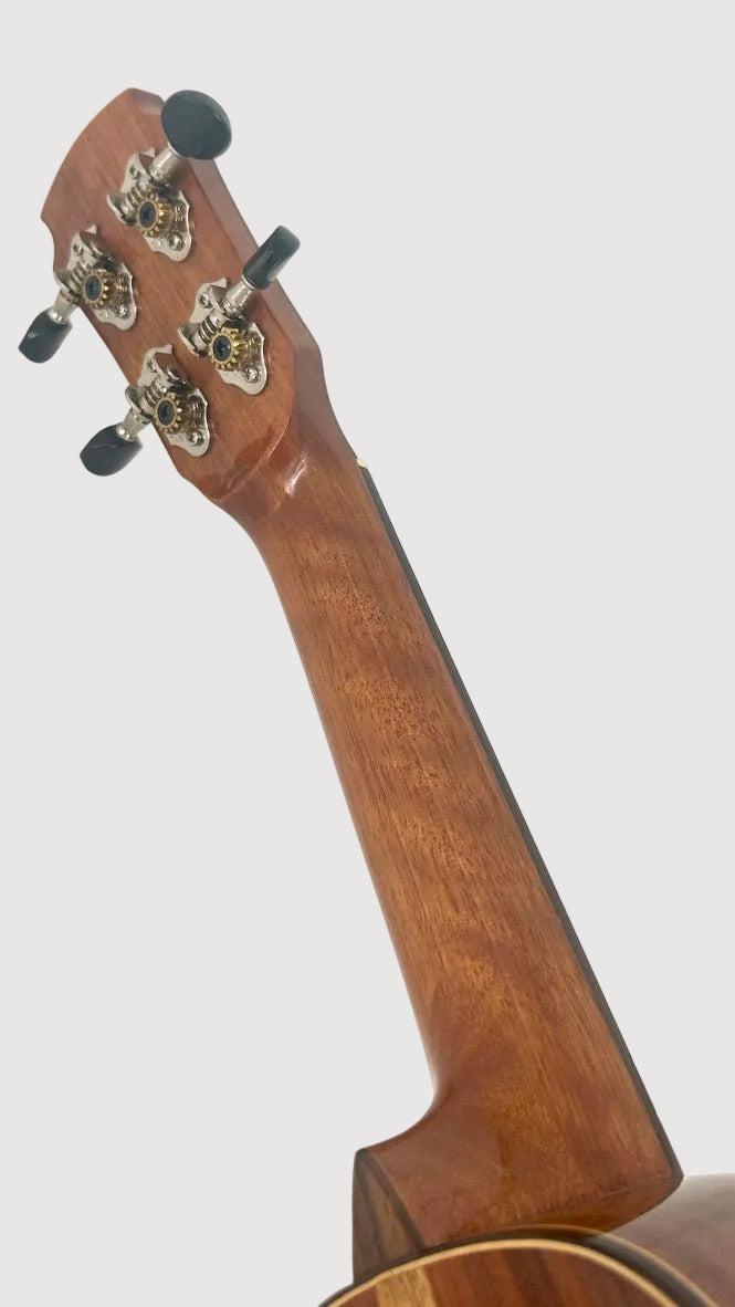 MAESTRO US45 Sopran (Fichte)