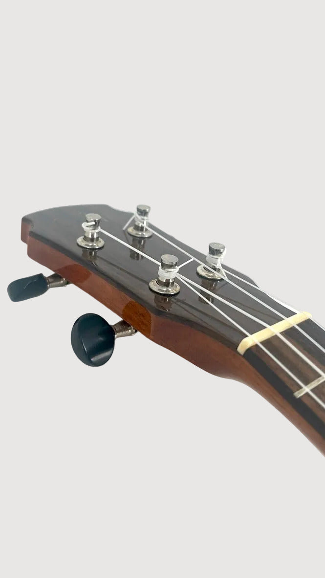 MAESTRO US45 Sopran (Fichte)