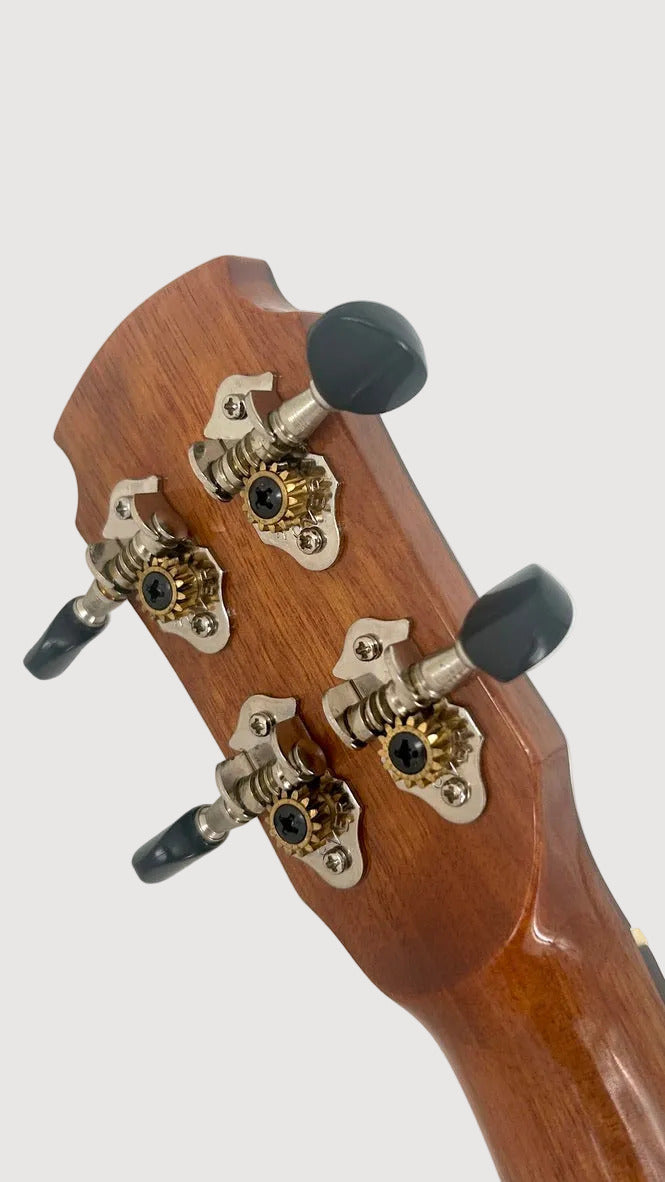 MAESTRO US45 Sopran (Fichte)