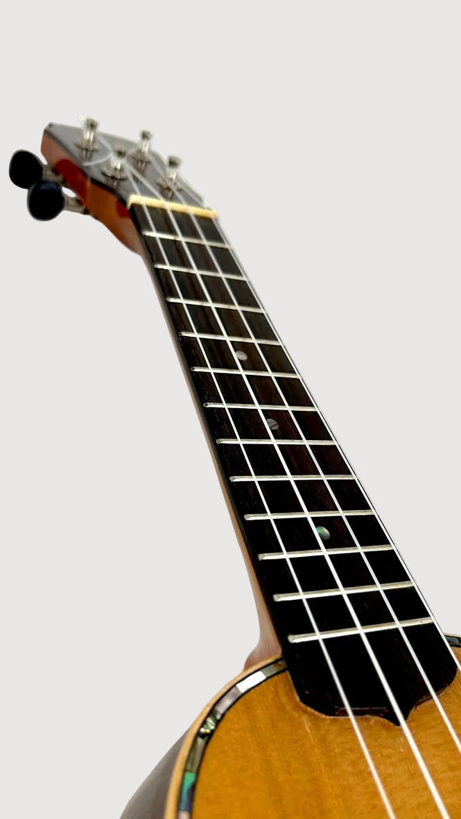 MAESTRO US40 Sopran