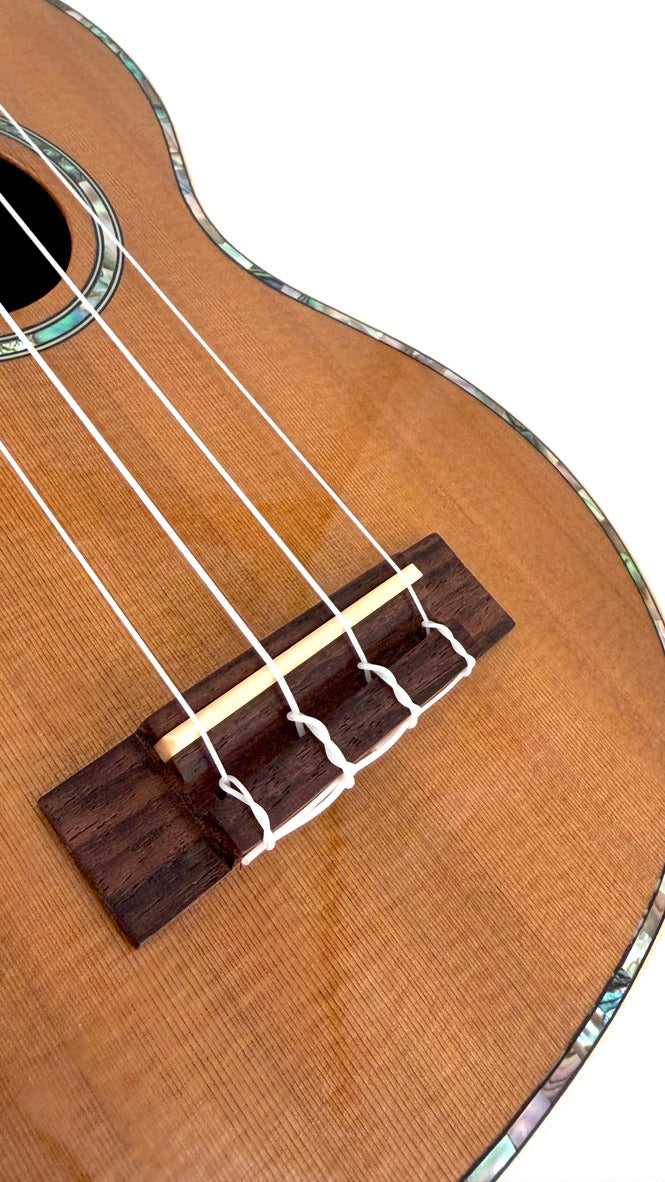 MAESTRO US40 Sopran