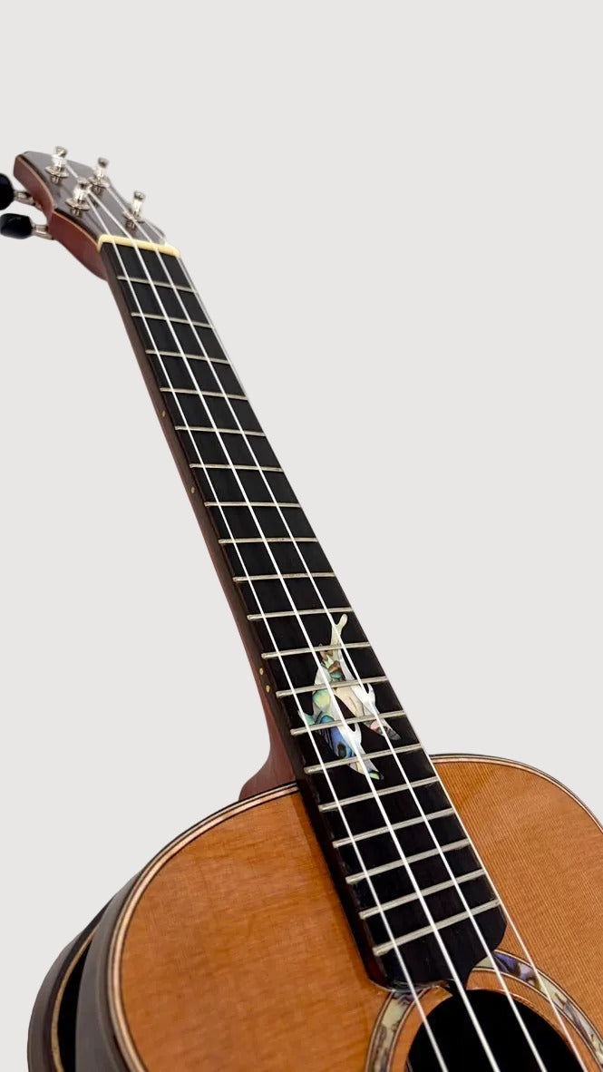 MAESTRO UT-IR (C) Tenor
