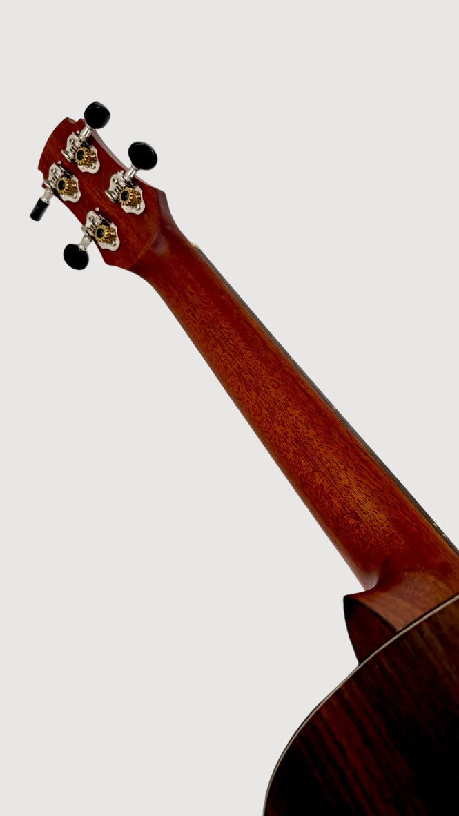 MAESTRO UT-IR (C) Tenor