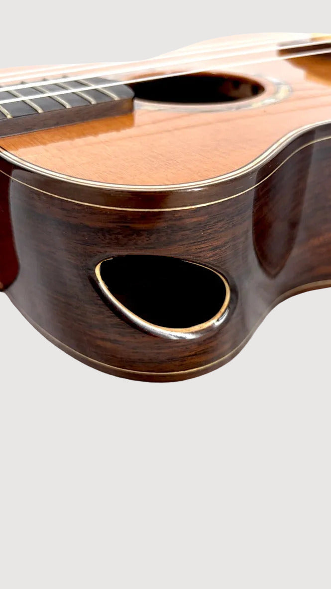 MAESTRO UT-IR (C) Tenor