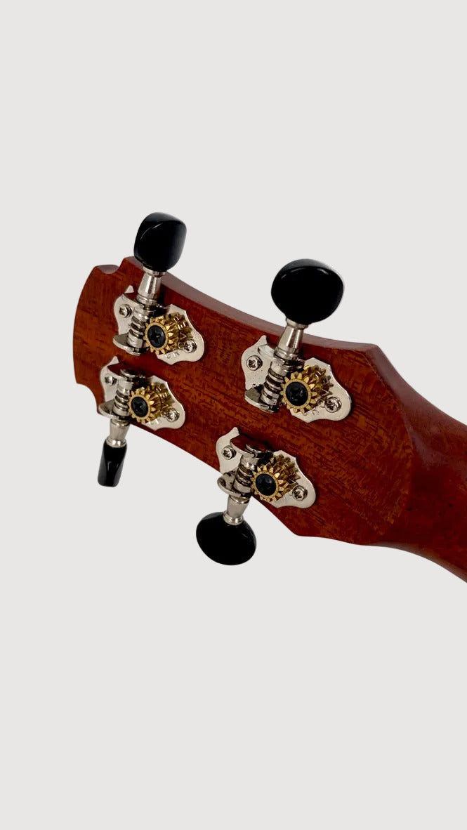 MAESTRO UT-IR (C) Tenor
