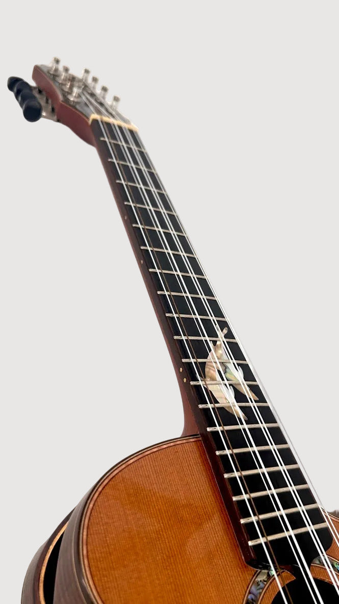 MAESTRO UT-IR Tenor 8-string cutaway