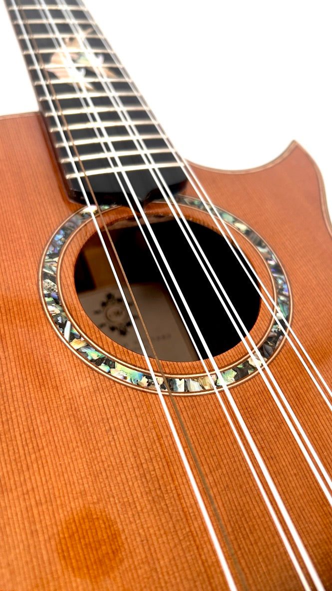 MAESTRO UT-IR Tenor 8-string cutaway