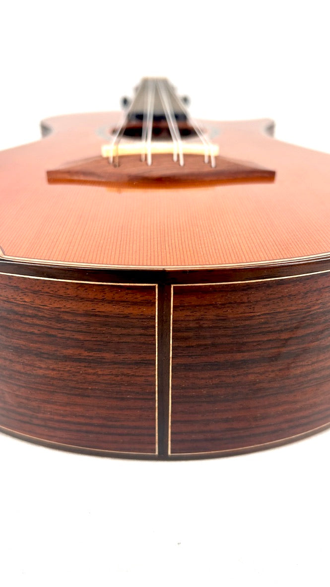 MAESTRO UT-IR Tenor 8-string cutaway