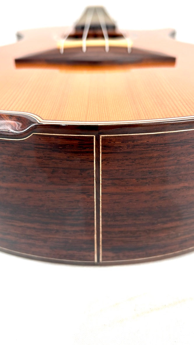 MAESTRO UT-IR (C) Tenor Cutaway