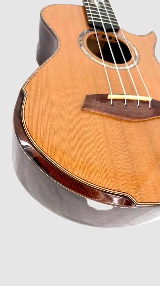MAESTRO UT-IR (C) Tenor Cutaway