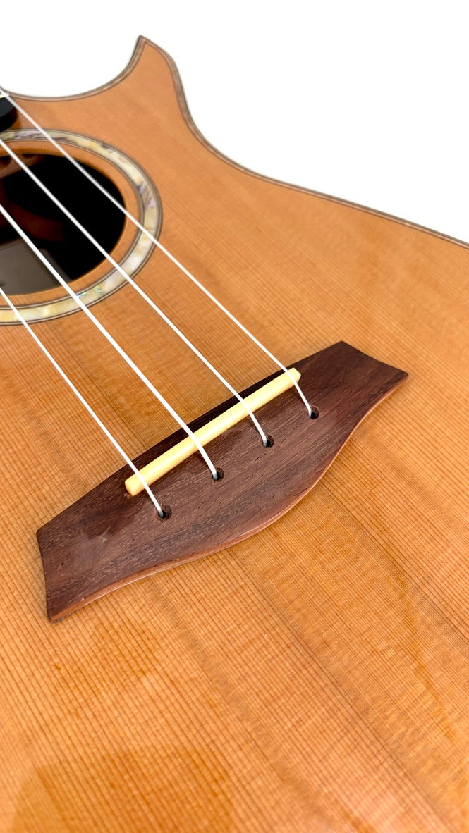 MAESTRO UT-IR (C) Tenor Cutaway