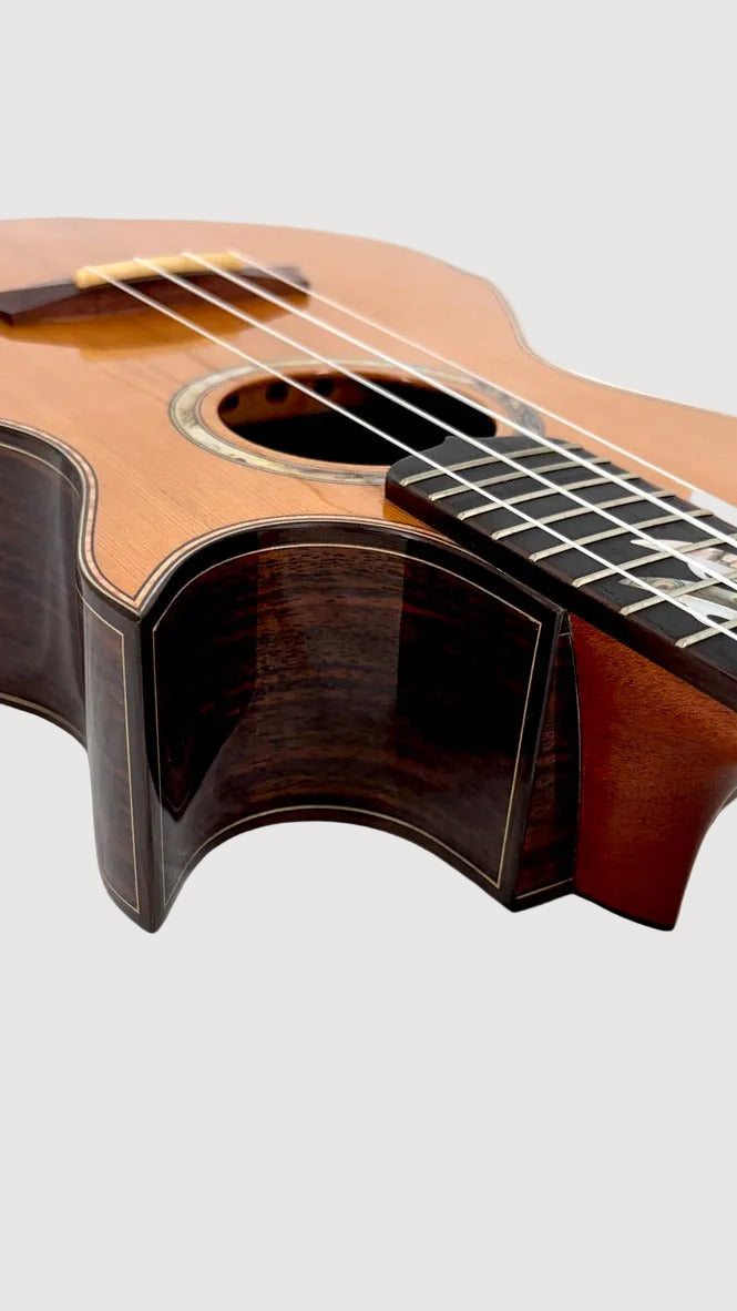 MAESTRO UT-IR (C) Tenor Cutaway