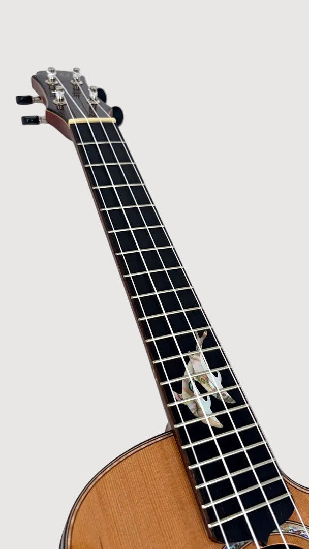 MAESTRO UT-IR (C) Tenor Cutaway