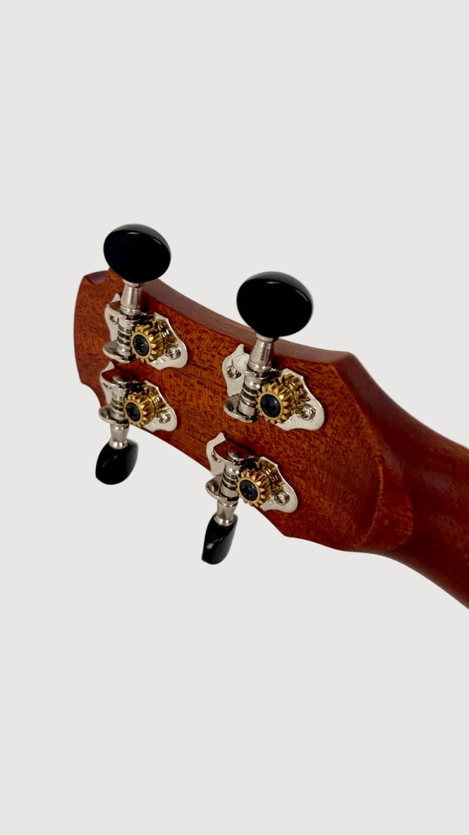 MAESTRO UT-IR (C) Tenor Cutaway