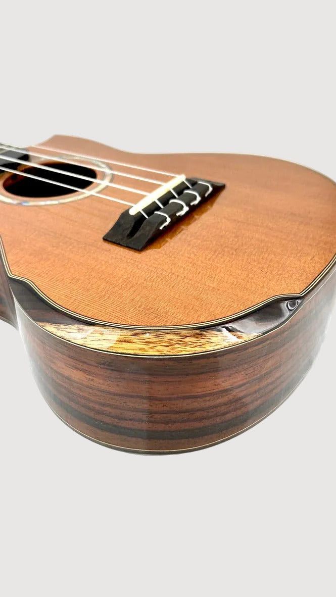 MAESTRO UT-IR (C) Tenor Cutaway
