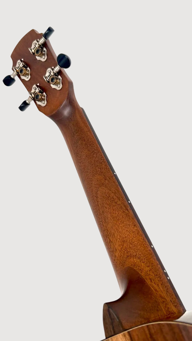 MAESTRO UT-IR (S) Tenor Cutaway