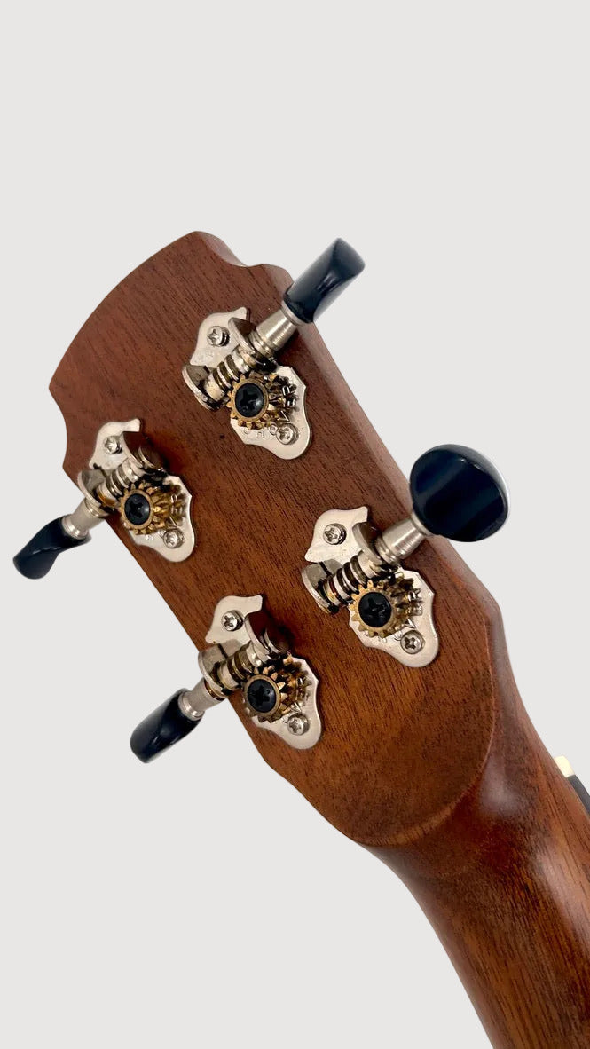 MAESTRO UT-IR (S) Tenor Cutaway