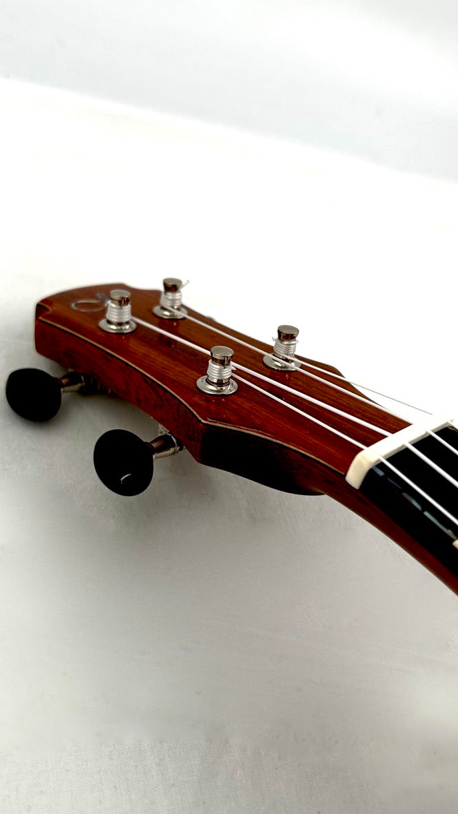 MAESTRO UT-SR (S) Tenor Cutaway