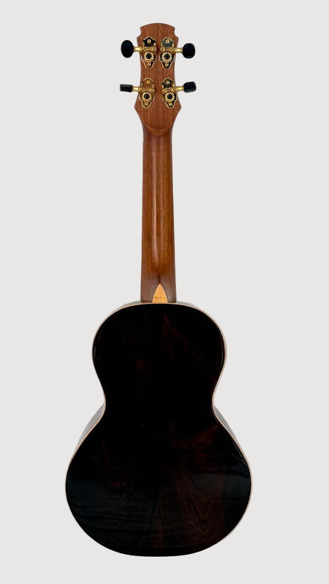 MAESTRO UC-CO SB Concert