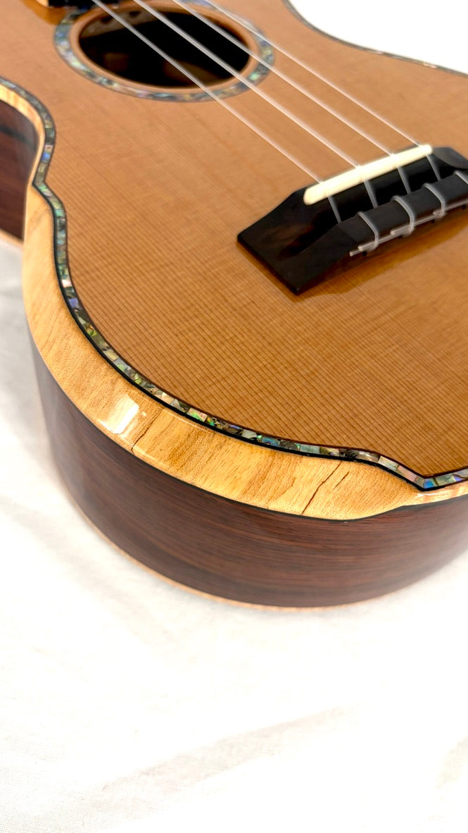 MAESTRO UC-CO SB Concert